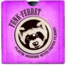 Funk Ferret - Playin Around With Paper Planes