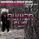 Borgeous & Shaun Frank - This Could Be Love