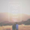 PRXZM - What You Need (Original mix)