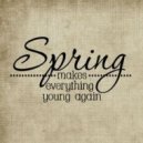 Ray1st - Spring Again 2015 Mix ()