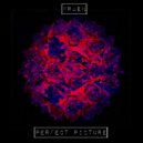 Fraen - Perfect Picture (Original mix)