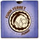 Funk Ferret - Jump