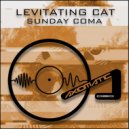 Levitating Cat - Sunday Coma