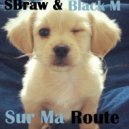 Black M - Sur Ma Route (S-Braw Bootleg Remix)