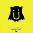 Jack Ü feat. Justin Bieber - Where Are Ü (NIGHTØWLS Remix)