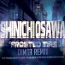 Shinichi Osawa - Frosted Tips