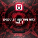 jDIAMONDj - popular spring mix vol.1