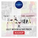 Dancekraft vs. Michel Amberg x Lilly Wood & The Prick - Requiem x Prayer In C (Dima Ashaev Mashup)