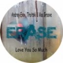 Andrey Exx, Troitski, Vee Groove - Love You So Much (Original Mix)