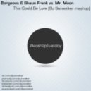 Borgeous & Shaun Frank vs. Mr. Moon - This Could Be Love (DJ Sunwalker mash-up)