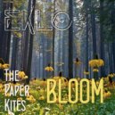 The Paper Kites - Bloom