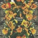 Edamame - Leave The Light On