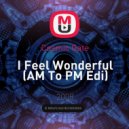 Cosmic Gate - I Feel Wonderful (AM To PM Edit)
