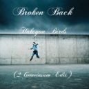 Broken Back - Halcyon Birds
