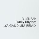 DJ Sneak - Funky Rhythm
