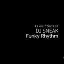 DJ Sneak - Funky Rhythm