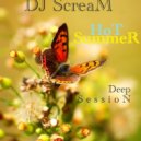 DJ ScreaM - Hot Summer