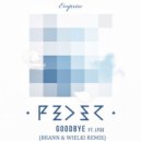 Feder Feat Lyse - Goodbye (Brann & Wielki Remix)