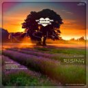 Den Shender - Voices (Original mix)