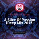 DJ Electro Sergo - A Slice Of Passion (Deep Mix 2015)