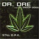 Dr. Dre ft. Snoop Dogg - Still D.R.E.