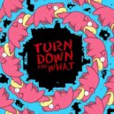 Dj Snake - Turn Down For What