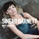 Sinead Harnett - Do It Anyway (Original mix)