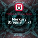 TORI feat Roman Golik - Merkury