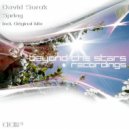 David Surok - Spring