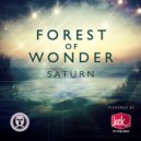 Saturn - Forest of Wonders (Original mix)