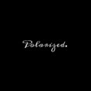 Out Of Bullets - Polarized