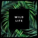 Kevin Hunter - Wild Life (Original mix)