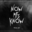 Visual Lies - Now MFs Know (Original Mix)