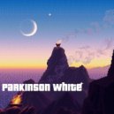 Parkinson White feat. Cassidy Eggen - Honey Hip Flask