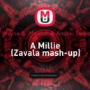 Lil Wayne & Maiskii & Andrei Stephen - A Millie (Zavala mash-up)