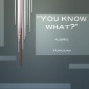 Monolab - You Know What??