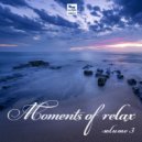 Van - Walk by the Boulevard (Original Mix)