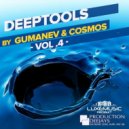 Frankie Goes to Hollywood vs Andrey Exx Troitski - Relax (Gumanev DJ Cosmos Deeptool)