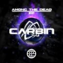 Carbin - While We're Young