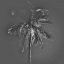 Tails - Misted