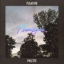 Flamingosis - Pleasure Palette (Original mix)