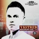 Bass Bumpers vs Toby Green - Move To The Wiretap (YASTREB Mashup)
