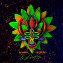 Bomba Estereo - Fiesta (Fernando Torres Latin Fiesta Remix)