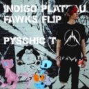 Psychic Type - Indigo Plateau