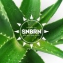 Cajmere - Percolator (SNBRN Remix)