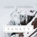 Sanaev - Liquid Gathering