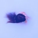 Ftureable - Something