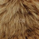 HVOB - Lion