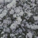 KAVERN - Moth