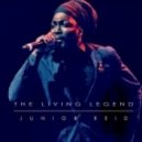 Junior Reid feat. Sizzla Kalonji - This Generation